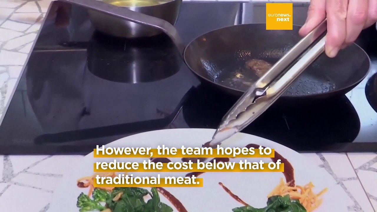 Bioengineers are using fat made from pig cells to make lab-grown meat taste more appealing