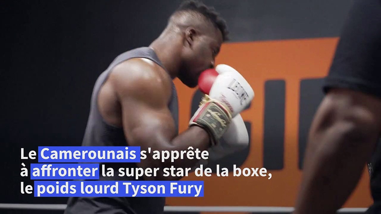 Boxe: association poids lourds entre Francis Ng...