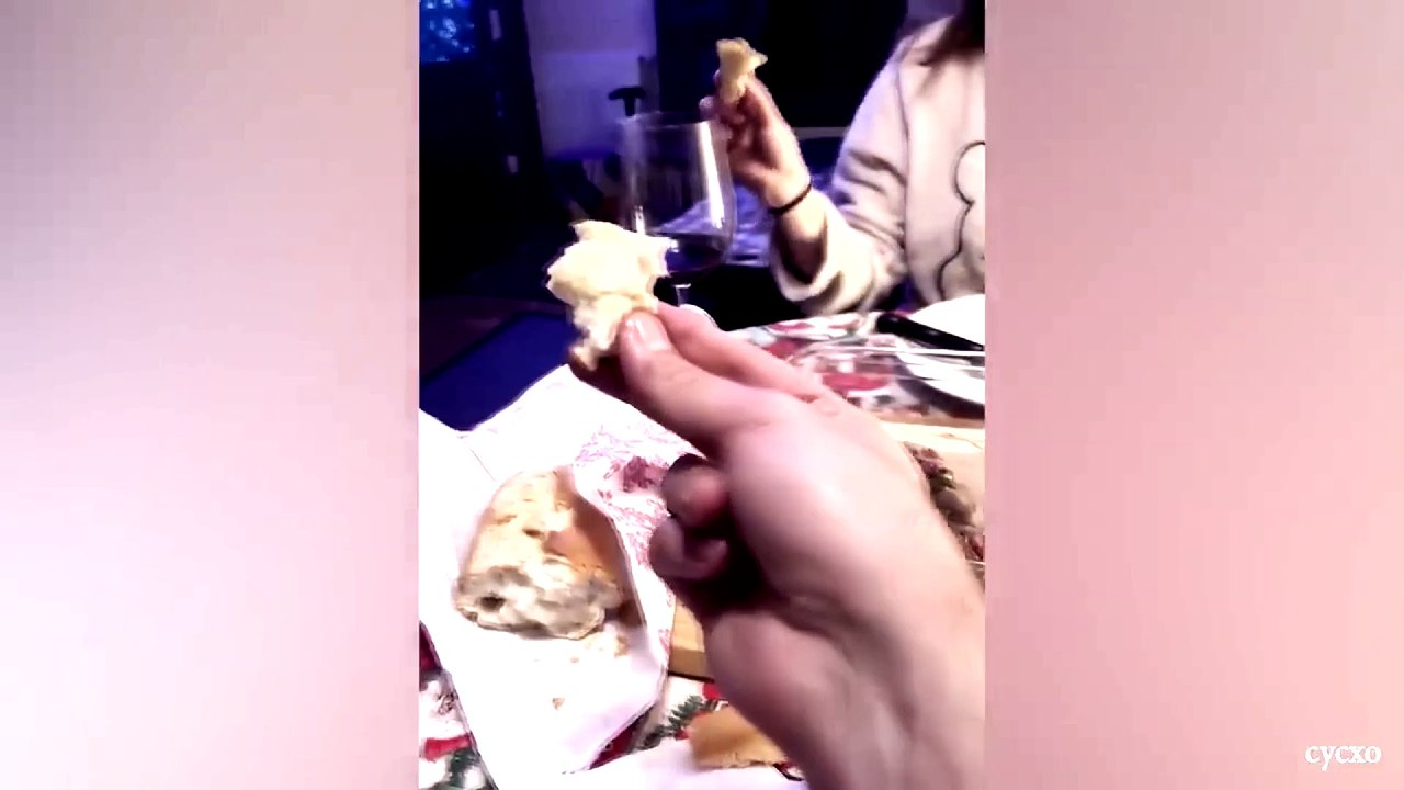 animal funny video 54