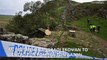 Μ. Βρετανία: Βάνδαλοι έκοψαν το δέντρο του Sycamore Gap