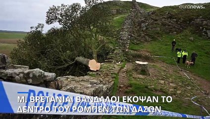 Μ. Βρετανία: Βάνδαλοι έκοψαν το δέντρο του Sycamore Gap