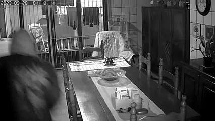 Idosa de 79 anos é agredida durante assalto em Tijucas