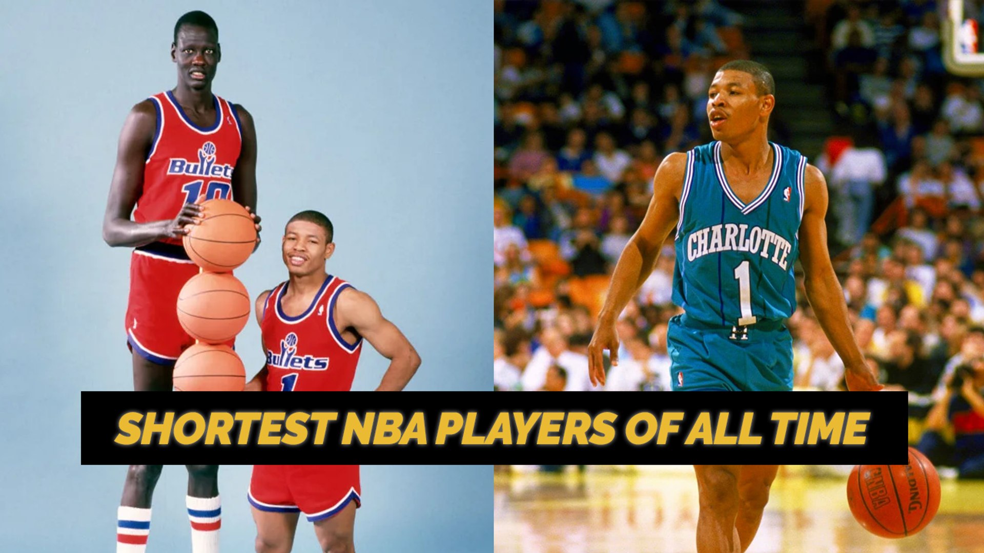 Shortest player in nba history deals
