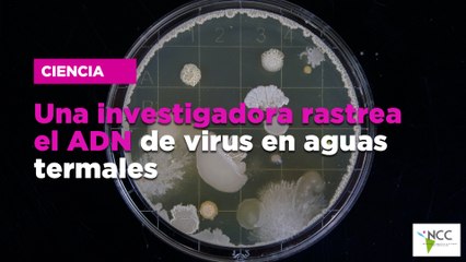 Una in­ves­ti­ga­do­ra ras­trea el ADN de vi­rus en aguas ter­ma­les