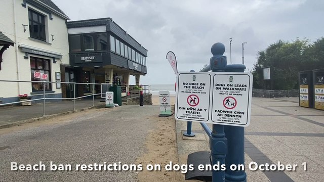 Dog fouling issues blight Saundersfoot