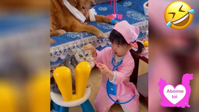 Dose d'humour Vidéo Betisier Drole Chien et Chat #23