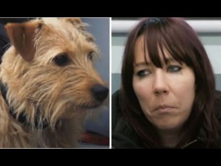 'Heartbreaking' The Dog House fans in tears as owner forced to give up dogs 'Poor woman'