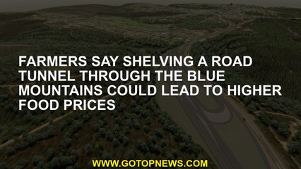 Farmers say shelving a road tunnel through the Blue Mountains could lead to higher food prices