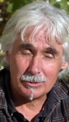 The man who flies with The birds