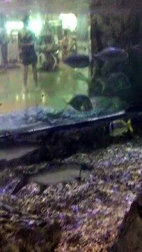 Bass Pro Shops Miami, FL 2021