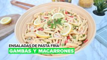 Ensaladas de pasta fría: Gambas y macarrones