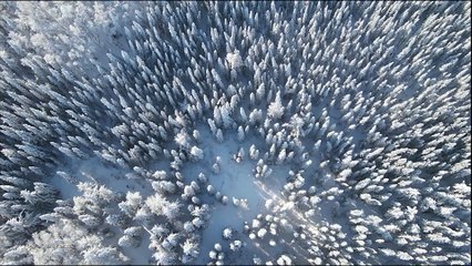 Raphaël Feuillâtre - J.S. Bach: Sleepers, Awake, BWV 645 (Transcr. for Guitar) (Visualizer)