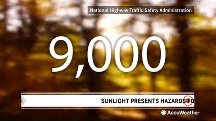 Sun glare can be a driving hazard in the fall