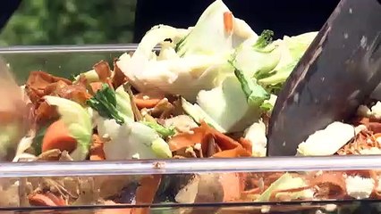 HOW COMPOSTING CAN HELP WITH GLOBAL HEATING