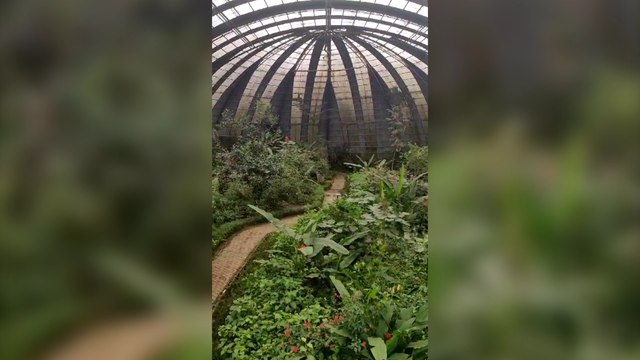 ext-4-viva-la-experiencia-verde-monteverde-lanza-campaña-con-precios-especial-para-ticos-280923