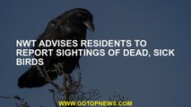 NWT advises residents to report sightings of dead, sick birds