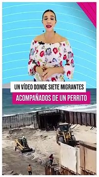 Oso un canino que cruzó la frontera en compañía de varios migrantes en Tijuana, se viralizó tras difundirse varios videos en redes sociales. El Lomito regresó a México, ya se encuentra con su dueño #TuNotiReel