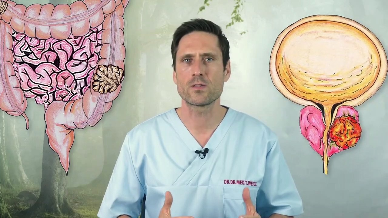 Diese Lebensmittel machen Krebs Krebs durch falsche Ernährung Darauf sollten Sie achten-