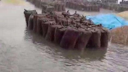 बारां: तेज आंधी के साथ हुई बारिश ने किसानों और व्यापारियों पर किया बड़ा आघात!, देखें video