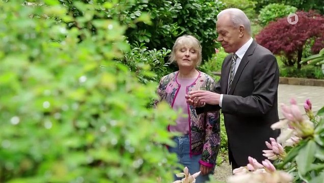 Sturm der Liebe 4114 folge