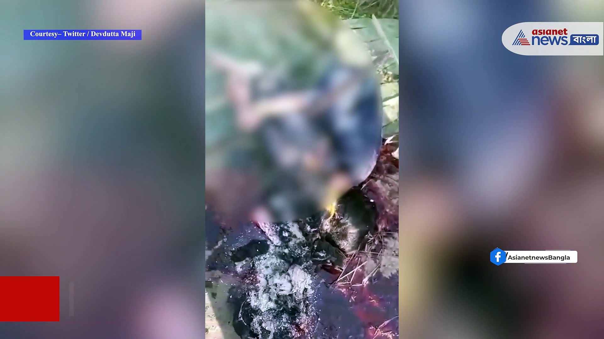 অমানুষ! ধর্ষণের পর কিশোরীকে মেরে মুখে আগুন দিয়ে দিল দুষ্কৃতীরা,অভিযোগ বসিরহাটে