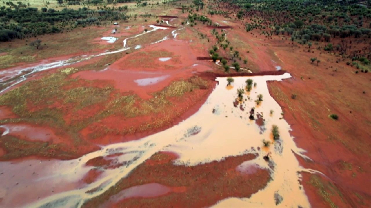 Largest sustainability study of red meat industry in Australia is underway