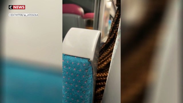 La mairie de Paris réclame au gouvernement un plan contre les punaises de lit, ayant constaté une recrudescence importante de cette espèce parasite avant les Olympiques de 2024