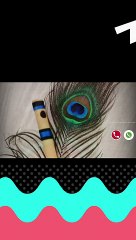 Relaxing Flute & Bansuri Ringtone 2023 🎶 – Best Soothing Phone Tones