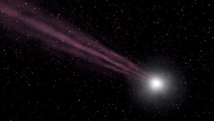 Stop Making Sense (1984) HD Movies