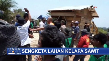 Penyebab Sengketa Lahan Antara Perusahaan Tambang dan Kelapa Sawit di Sumsel