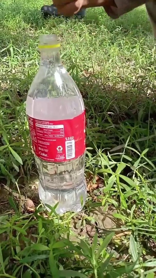 Funny  entertainment video