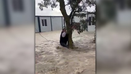 Sele kapılan işçi ağaca sarılarak hayata tutundu