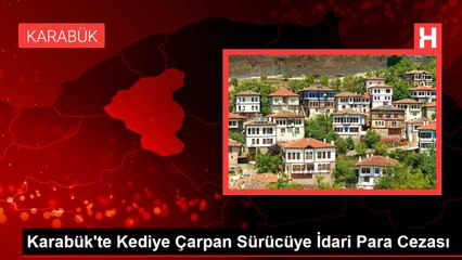 Karabük'te Kediye Çarpan Sürücüye İdari Para Cezası