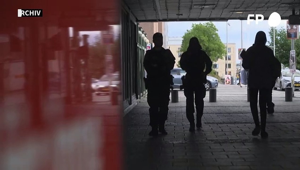 Schwedens Regierungschef will Militär gegen Bandengewalt einsetzen