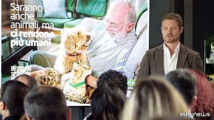 Un'indagine conferma: cani e gatti ci rendono pi? umani