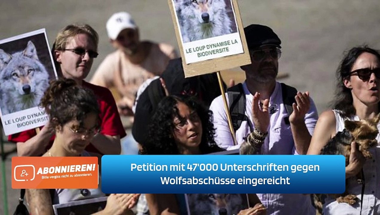 Petition mit 47'000 Unterschriften gegen Wolfsabschüsse eingereicht