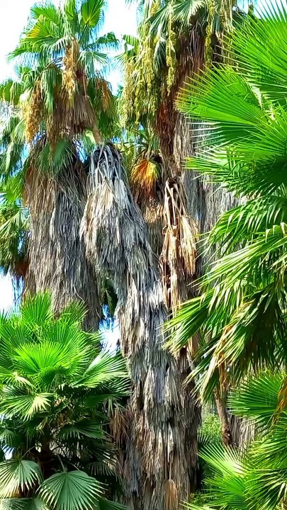 Amazing Nature Scenery | Soothing View | 4K Nature Relax | Peaceful Video