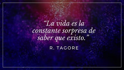 Las 25 frases más bonitas de la historia