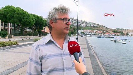 Foça'da Denizanaları Artıyor: Ekosistem Bozulmasının Etkisi