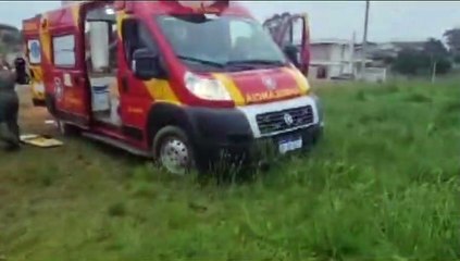 Idoso de 73 anos é atacado por boi e é levado para hospital em estado grave em Almirante Tamandaré