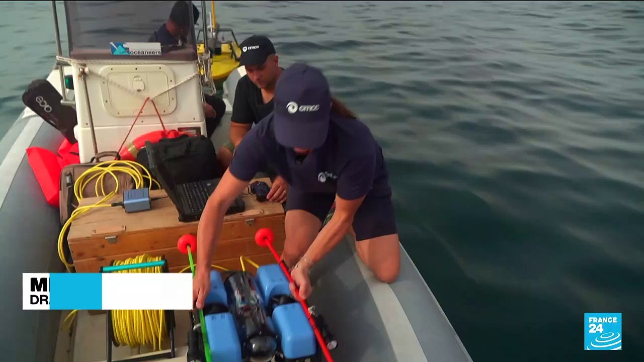 Mediterranean marine heatwaves ‘becoming more a...