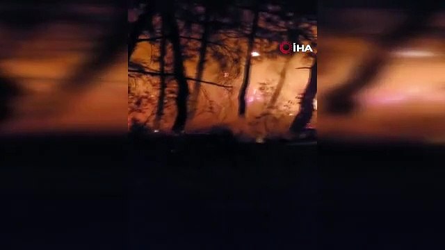 Er versuchte, sein Haus und den Wald niederzubrennen