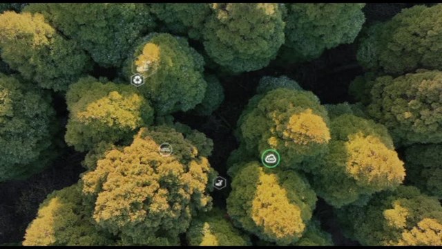 Farmaceutica, il sito di Eli Lilly Italia a difesa dell'ambiente