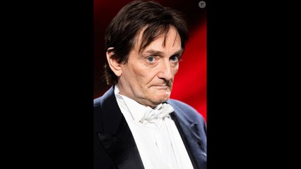 "Malgré l'amitié que je lui porte..." : Un célèbre animateur donne son avis sur Pierre Palmade et