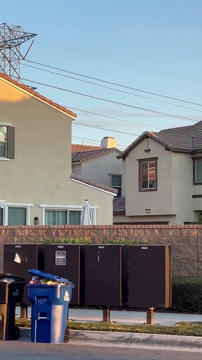 Neighbor's Nosy Dog Jumps to See Over Wall
