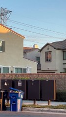 Neighbor's Nosy Dog Jumps to See Over Wall