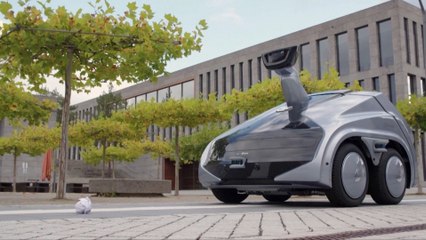 Multi-Talented Robot: From Trash Collection and Lawn Maintenance to Airplane Guidance