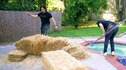 Literally Finding a Needle in a Haystack (331)