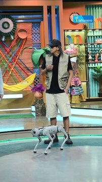 ¡Perro robot con inteligencia artificial en El Mañanero!