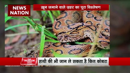 Lie Detector Test : क्या है मौत की गवाही देते जहरीले कॉकटेल का सच?